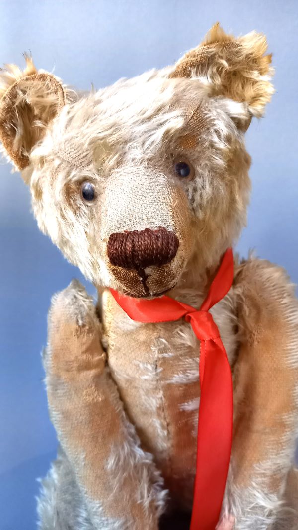 Teddybär Bing